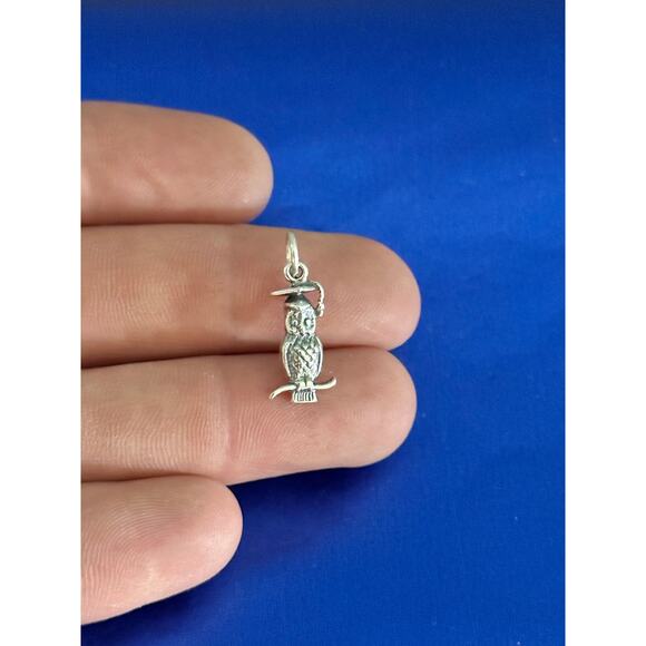 Sterling Silver 3D Wise Owl with Graduation Cap Charm - Picture 1 of 4